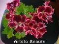 Aristo Beauty11